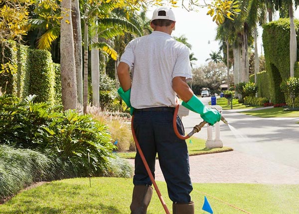 About Richburg NY Pest Control